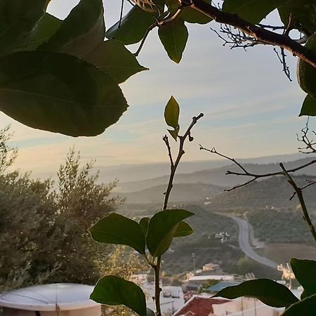 Mirador Del Olivar 올베라 외부 사진