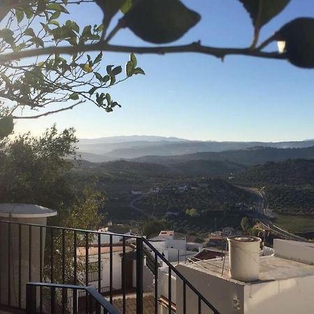 Mirador Del Olivar 올베라 외부 사진