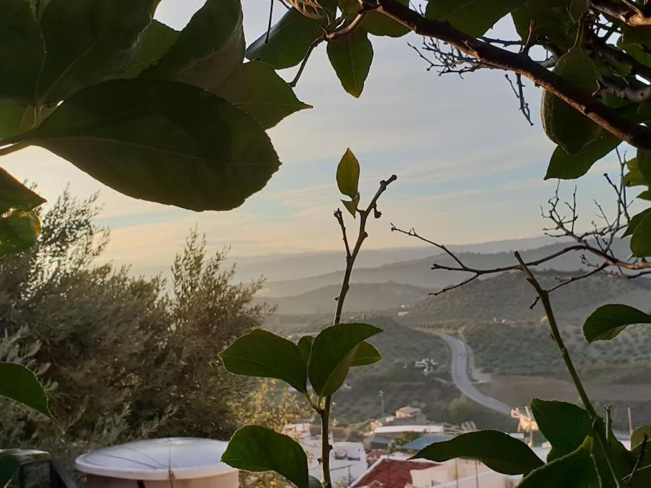 Mirador Del Olivar 올베라 외부 사진