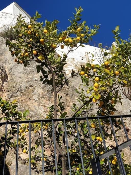 Mirador Del Olivar 올베라 외부 사진