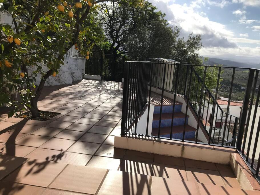 Mirador Del Olivar 올베라 외부 사진